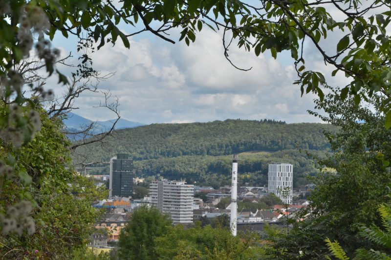 Kommunalwahl 2024: Blick auf Lörrach. Quelle: Barbara Ruda